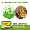 45PCS Mouse Repellent Pouches, Non-Toxic Peppermint Scent, Safe for Children
