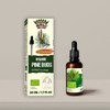 Pine buds organic/Tincture/extract / 50 ml / 1.67 fl oz