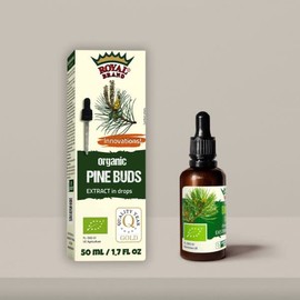 Pine buds organic/Tincture/extract / 50 ml / 1.67 fl oz