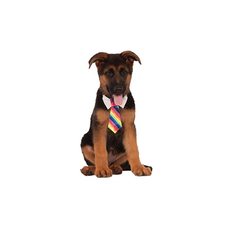 Rubie's Rainbow Tie for Pets, Small/Medium