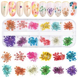 Kalolary 12 Colors 3D Dried Flowers Nail Art Decals, Colorful Dried Gypsophila Flowers Nail Art Stickers Decoration, 3D Nail Decoration for UV Gel/Acrylic Nail Design