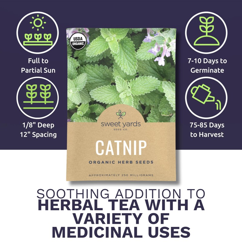 Catnip Seeds – Two Seed Packets! – Over 800 Open