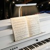Infitronic LED Piano Light - 18 LEDs Warm White, Continuously