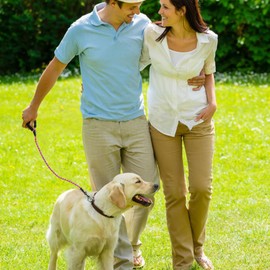 VAMOVISON Heavy Duty Dog Leash with Soft Padded Handle 4/5/6.5/10FT Reflective Rope Dog Leash Comfortable Design Metal Carabiner Clip for Small Medium Large Dogs (Pink, 4'*1/2'')