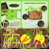 Root Viewer Kit for Kids - Grow Your Own Kids