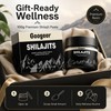 Shilajit Paste for Daily Wellness – Fulvic Acid Mineral Resin