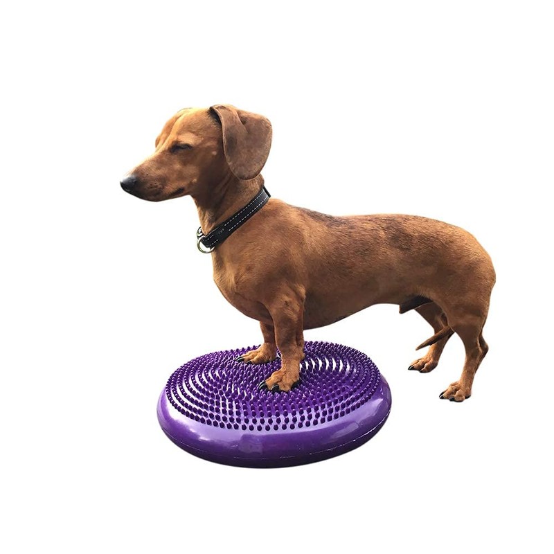 DEZAL Dog Balance Disc Cushion 14" - With 2 Exercises