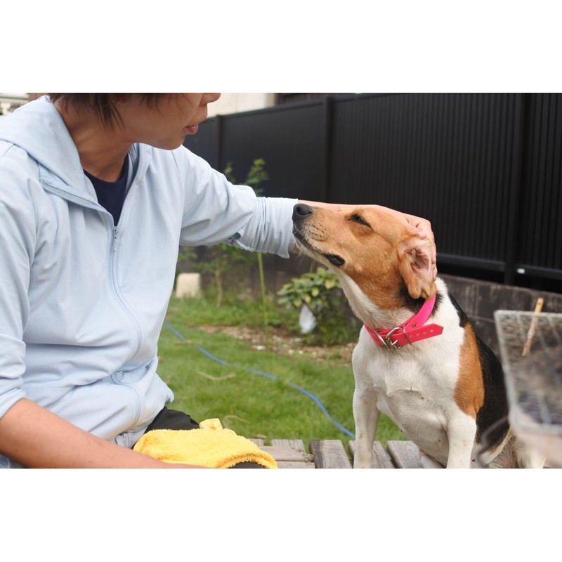 Dog Collar Waterproof TPU Dog Collar (Red)