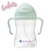 B.Box Sippy Cup - Geleto Range - 240mL Pistachio