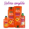 Garnier Fructis Shampoo 2 e n1 Borrador de Dano Largo
