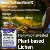 Magnesium Calcium Zinc & Vitamin D3 Vegan Supplement, Advanced Immunity