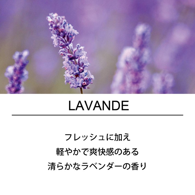 Esteban Esprit De Natural Lavender, Pack of 40