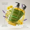 Majestic Pure Arnica Aceite de masaje para hombres y mujeres,