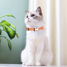 XS Dog Collar with Bell, Reflective Nylon XSmall Cat Collars Soft Adjustable Buckle for XXS Small Puppy Female Tiny Pets Dogs Girl Kitten Yorkie Chihuahua Orange X-Small