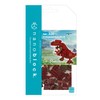 Kawada Nanoblock Tyrannosaurus NBC_320