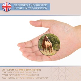 Destination Vinyl ltd Magnet for Refrigerator, Fridge - Welsh Cob Horse Pony Cute Fun for Office, Cabinet and Whiteboard, Magnetic Stickers, 2277
