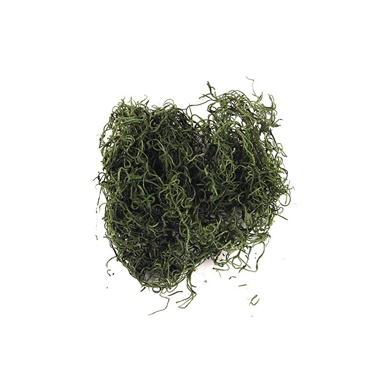 Rayher Muschio Della Giungla, Verde, Busta 20 G, 8501029