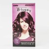 Sehwa Behappy Hair Dye 5V (W52715B) - Basic Product / 세화 비해피 헤어 염색약 5V (W52715B) - 기본상품