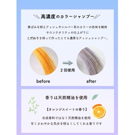 Salon Exclusive Karabom Color Shampoo Ash 500ml Ash Shampoo (Amino Acid Shampoo/Color Fade Prevention) Bleach Care