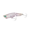 Shimano Black Seabream/Yellowtail Bream Brenias Rise Joint 75F XH-T75Y 002