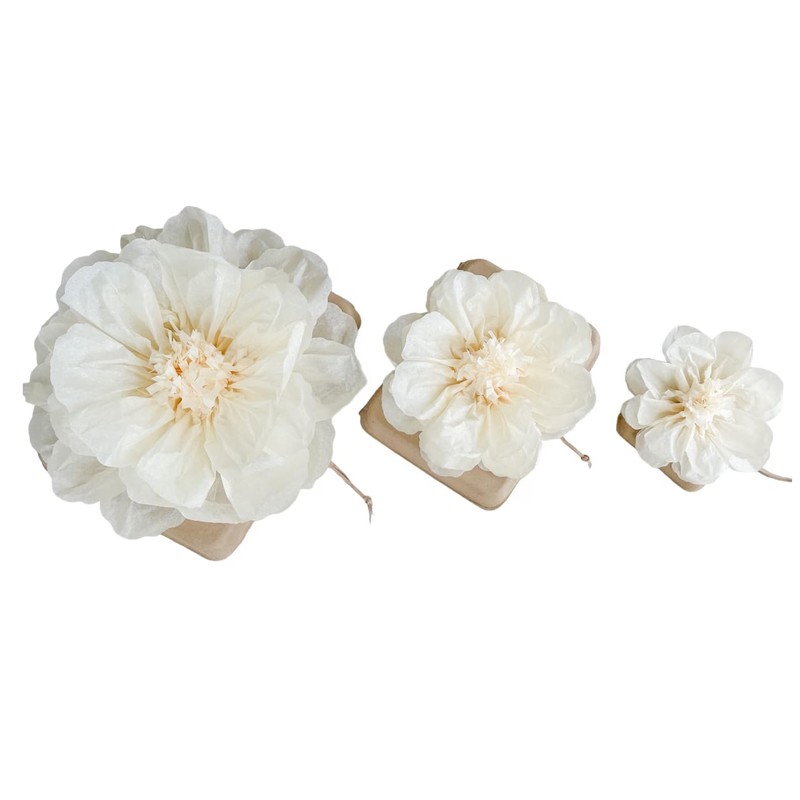 Biodegradable Urn for Water and Ground Burial – Small (Infant)