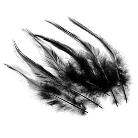 PATIKIL 12-15cm Rooster Wings 100pcs Bulk Natural Feather Crafts Carnival Handmade Clothes Wedding Party Style 2 Black
