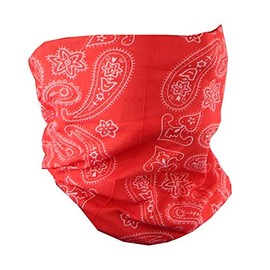Paisley Bandana Neck Gaiter Tube Headwear Motorcycle Face Scarf (Paisley and Flowers Red)
