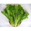 1000+ Yu Choy Sum Seeds - Jung Green, Cải Ngọt,
