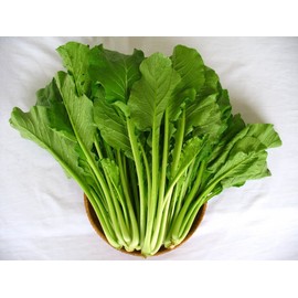 1000+ Yu Choy Sum Seeds - Jung Green, Cải Ngọt, Sum Choy, Cabbage Veggies Heirloom Non-GMO