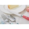 ANNOVA Silverware Set 20 Pieces Stainless Steel Color Handle With