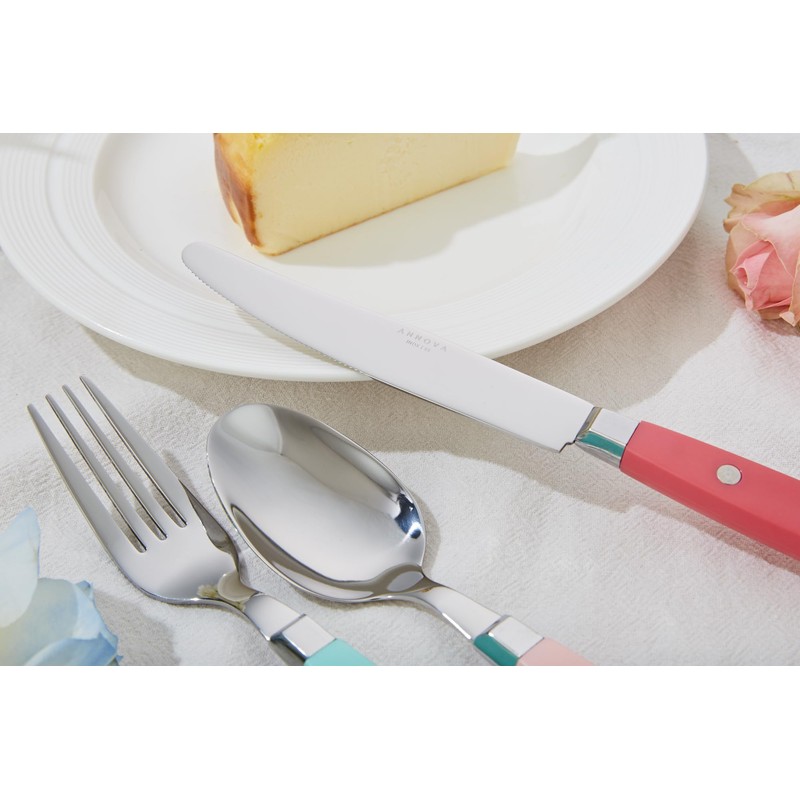 ANNOVA Silverware Set 20 Pieces Stainless Steel Color Handle With