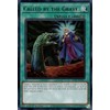 Called by The Grave (UR) - RA01-EN057 - Ultra Rare
