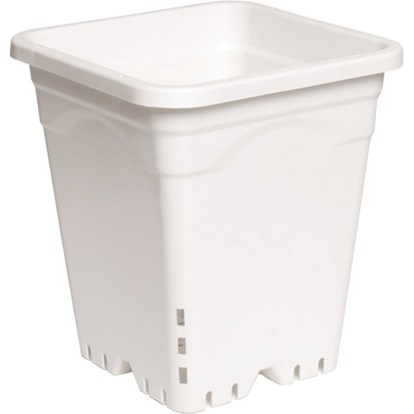 Active Aqua HG9X9SW 9"x9" White, 10" Tall, Pack of 24 Square Pot, 9"