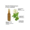 Ampolletas Capilares Phillip Martins Restaurador Anticaída 12x7ml Tratamiento Profesional Cabello