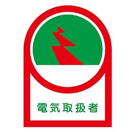 Helmet Decal for HL – 32 Electric Manual workers 10 Piece 1 Pair 233032