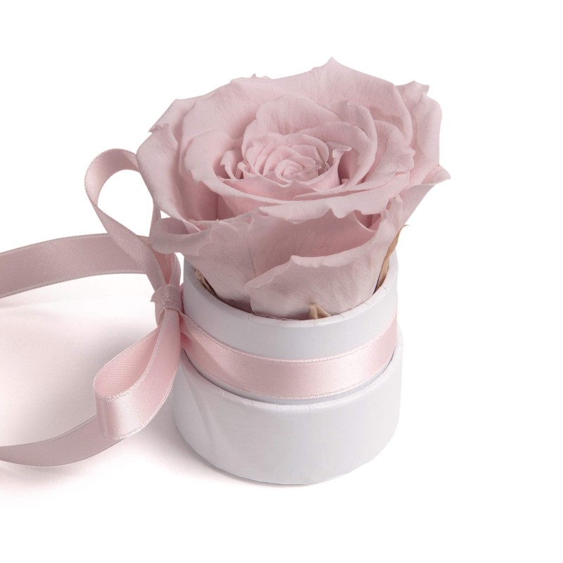 ROSEMARIE SCHULZ Heidelberg Small Rose Box White Round Infinity Rose