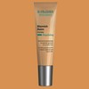 Dr. Schrammeck Original Schrammek Blemish Balm BB Cream No. 01 Light 15ml (No. 20-21) No. 01 Light × 15ml × 1 unit / 닥터슈라멕 오리지널 슈라멕 블레미쉬 밤 BB크림 01호 라이트 15ml (20-21호) 01호 라이트 × 15ml × 1개