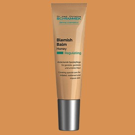 Dr. Schrammeck Original Schrammek Blemish Balm BB Cream No. 01 Light 15ml (No. 20-21) No. 01 Light × 15ml × 1 unit / 닥터슈라멕 오리지널 슈라멕 블레미쉬 밤 BB크림 01호 라이트 15ml (20-21호) 01호 라이트 × 15ml × 1개