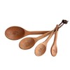 Lautechco? 4pcs/set Japanese Style Wooden Measuring Spoons Set Healthy No