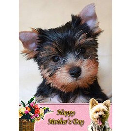 Yorkie/Yorkshire Terrier Dog Mothers Day Card