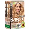 Garnier Nutrisse Blonde Lift Lightening for Dark Hair in Honey
