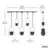 Umbra Triflora Hanging Planter for Window, Indoor Herb Garden, Set