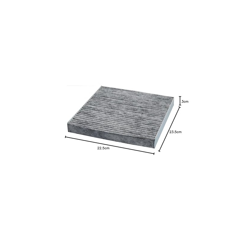 CP134 Filtro de aire con carbón activado, Activated Carbon, 1-paquete
