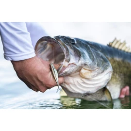 PowerBait The Champ Minnow HD Baby Bass 3.4in | 8.5cm