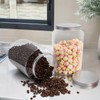 Tlence 2 Pack 1 Gallon Extra Large Clear Plastic Jars,
