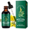 Mullein Extract - 60 ml Mullein Leaf Drops - Mullein