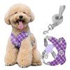 Pawaboo Small Dog Harness and Leash Set, Puppy Harness X-Frame