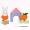 Miffy/TM-MIF-0101 Photo Book TM-MIF-0101