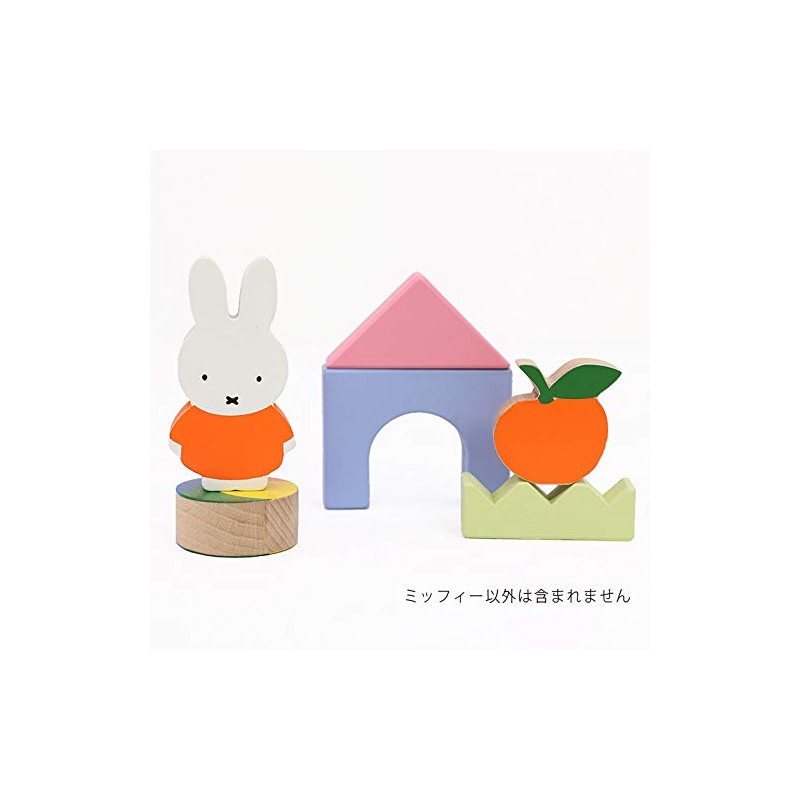 Miffy/TM-MIF-0101 Photo Book TM-MIF-0101