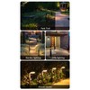 Solar Outdoor Lights Super Bright Waterproof Warm Solar Pathway Lights